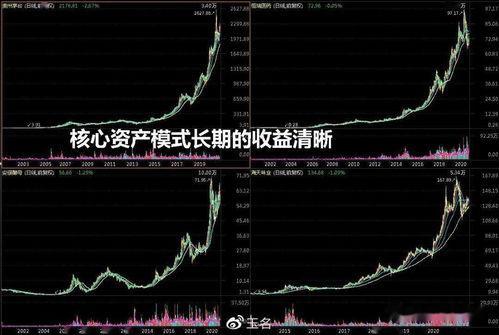 哪个明星投股票最多,揭秘投资达人XXX的股票投资之路